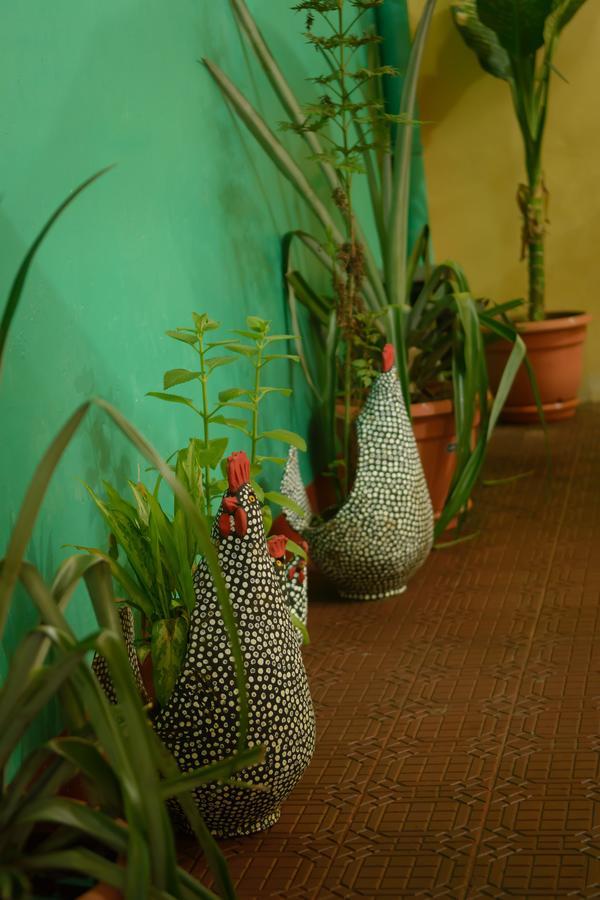 Hostal Fachente Leon Exterior photo